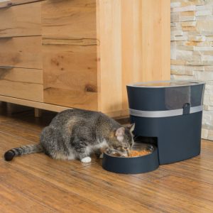 the best automatic cat feeder