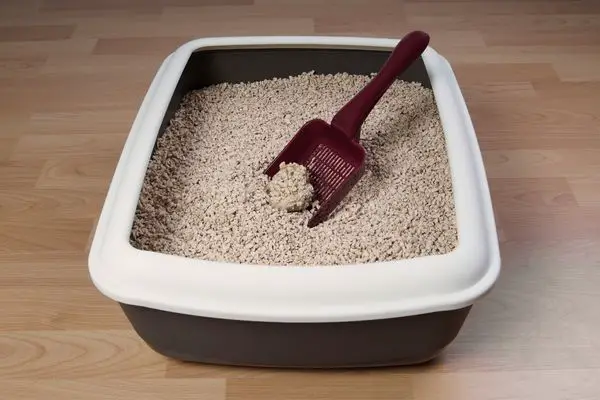 A photo of a litter box that is designed for use with dogs