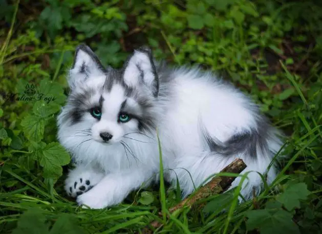 marble fox