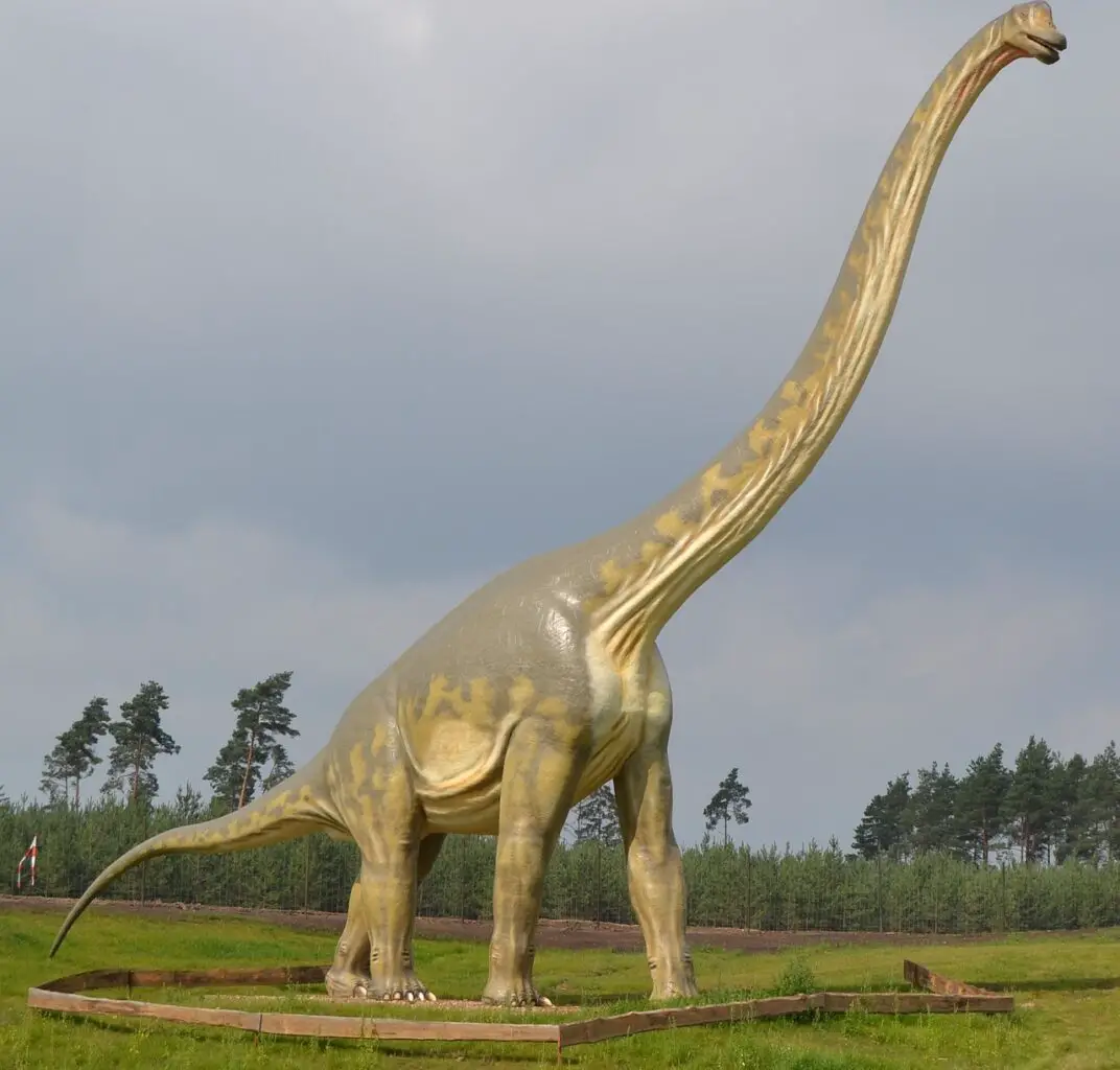 brontosaurus vs brachiosaurus