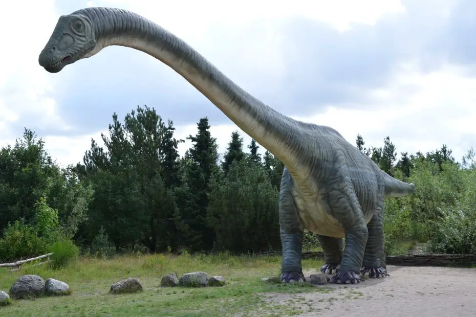 brontosaurus vs brachiosaurus