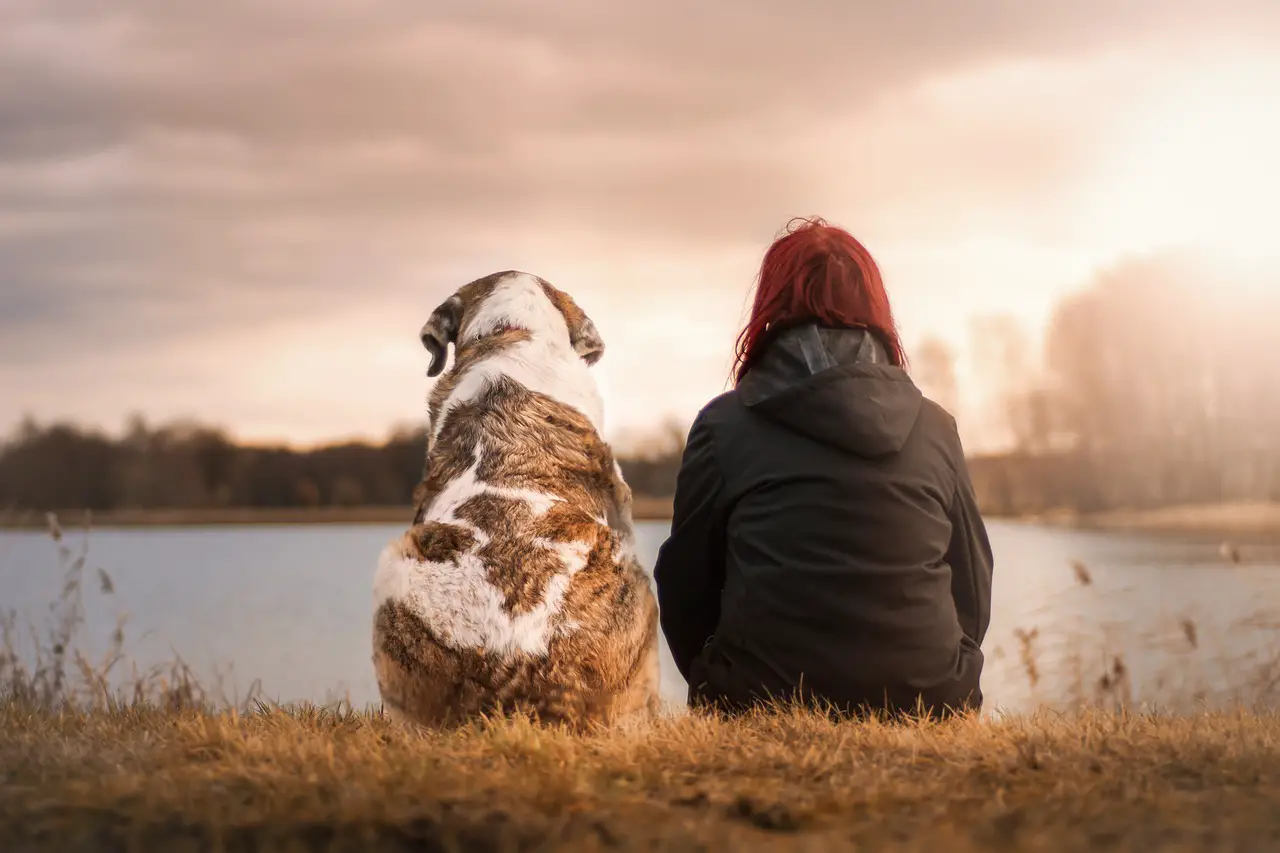 The Role of Dogs in Therapy 